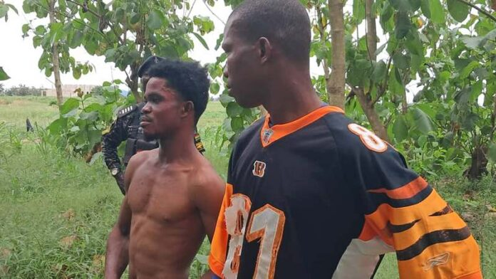 2 arrested, one on the run for stealing iron rods from Agenda 111 site - Nsemkeka