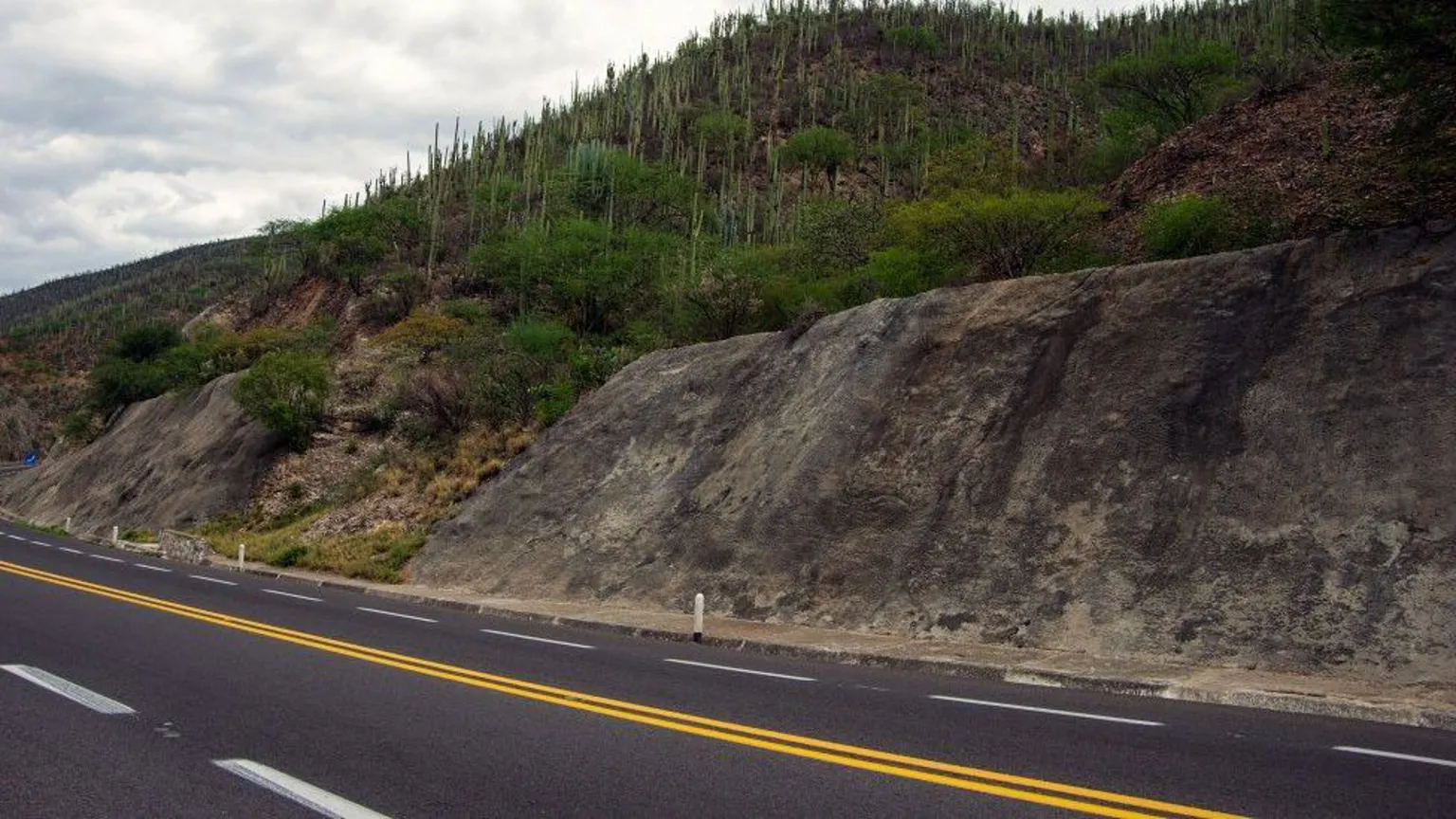 At least 21 killed in crash in Mexico, official says - Nsemkeka