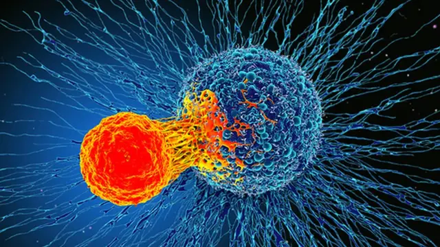 Breakthrough cancer drug doubles survival in trial - Nsemkeka