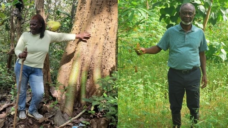 Entrepreneurs forge the forest economy