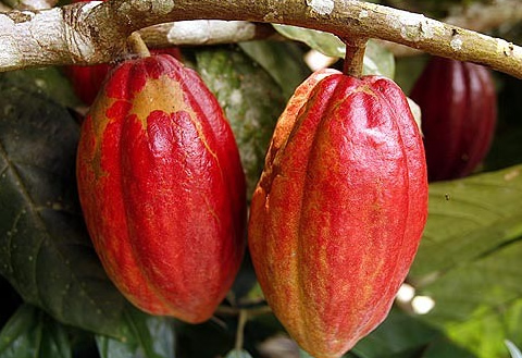 Ghana exports $9.3b worth of goods in April 2025 - Ghana Business News