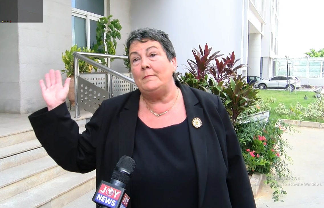 Ghana gains trade advantage from U.S. tariff policy, says Ambassador Palmer - Nsemkeka