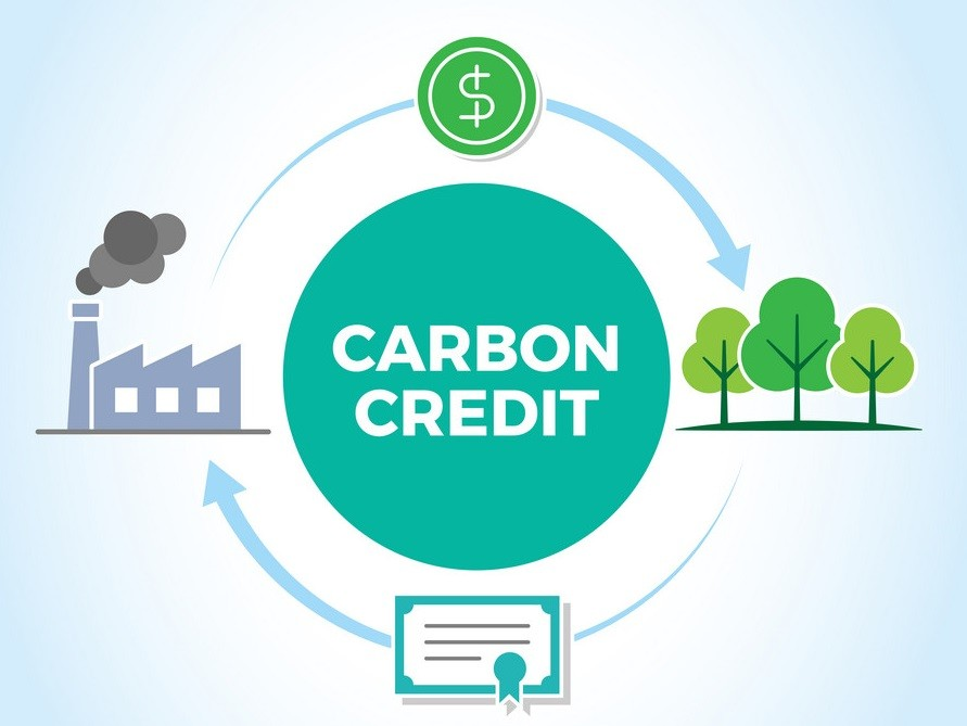 Hilda Aku Asiedu: Ghana’s carbon credit pension proposal - Nsemkeka