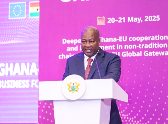 Mahama woos EU investors for opportunities in high-growth value chains