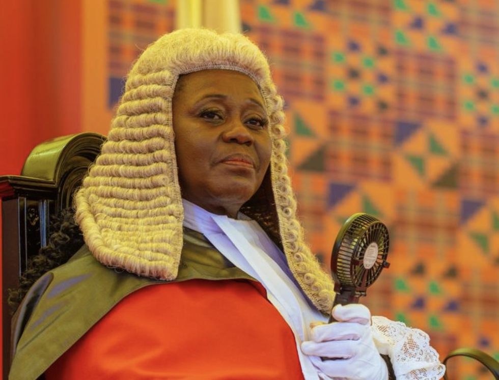 'No more protection from the bench' - Fifi Kwetey says NPP in fear after CJ’s suspension - Nsemkeka