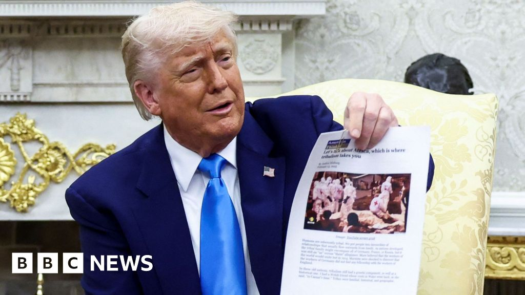 Ramaphosa keeps cool during Trump's choreographed onslaught - Nsemkeka
