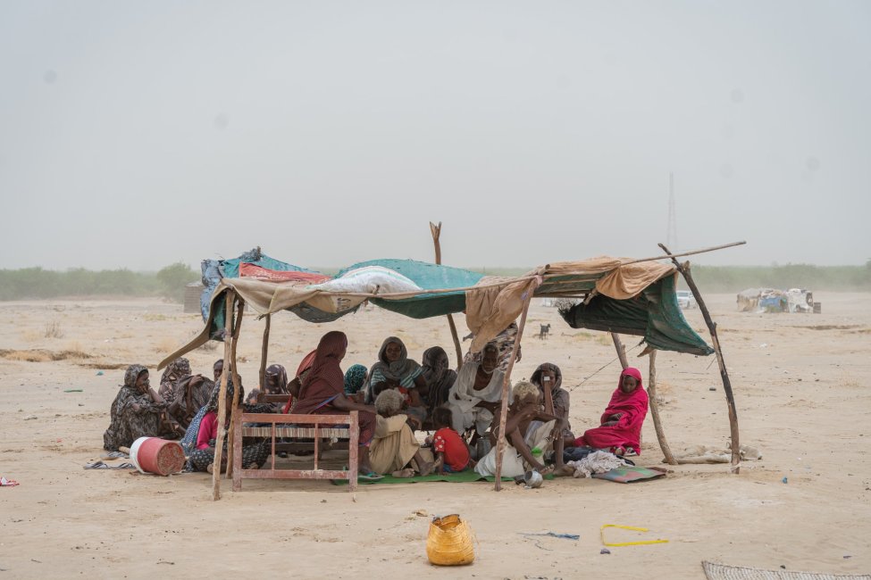 Record 83.4m people displaced inside their countries in 2024 - New report warns of growing crisis - Nsemkeka