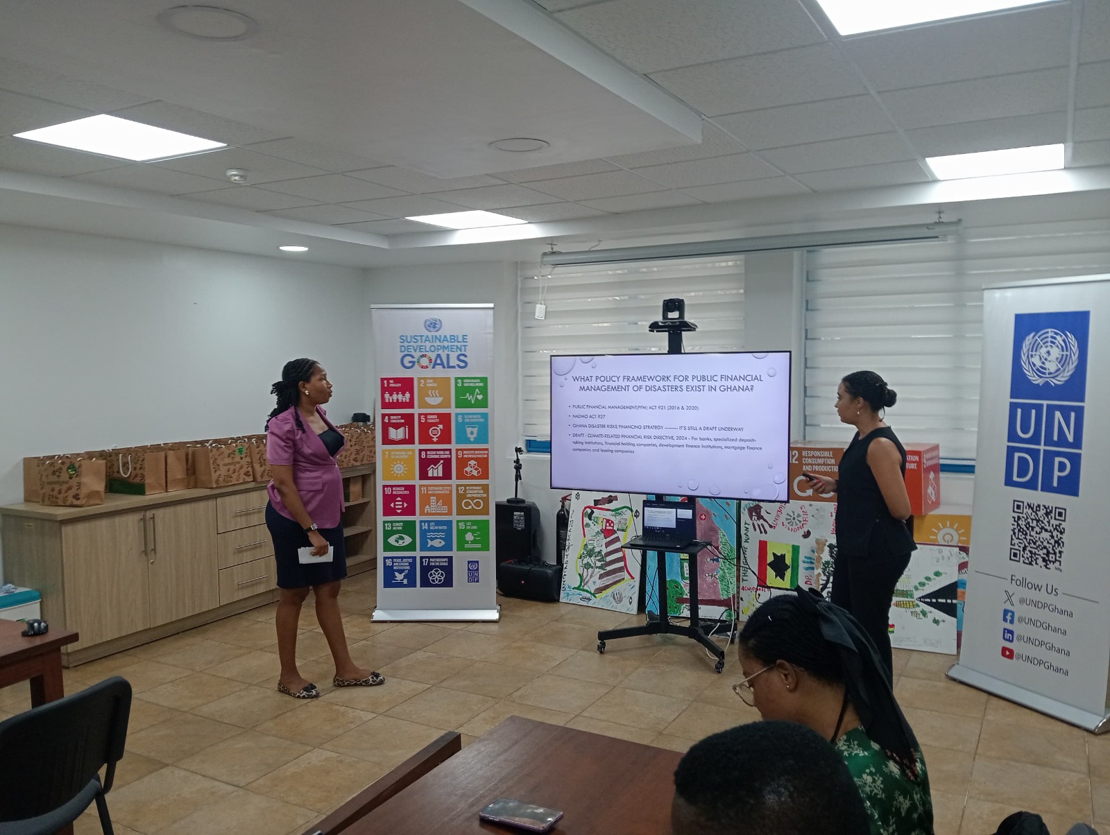 UNDP, stakeholders develop Ghana’s disaster management and risk finance strategy framework - Nsemkeka