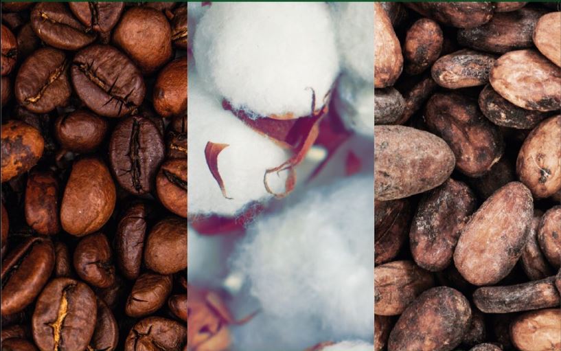 US$155m financing for coffee, cocoa and cotton sourcing