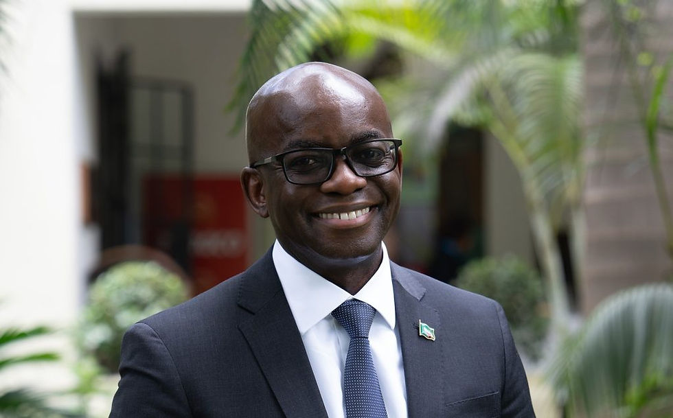 Why the AfDB presidency may go to Maimbo - Nsemkeka