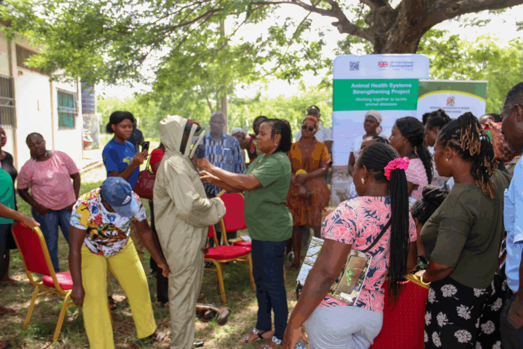 World Bee Day 2025: UK-Ghana bee partnership buzzes with innovation and empowerment - Nsemkeka