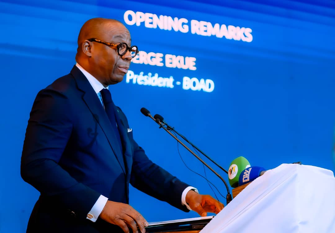 BOAD reaffirms commitment to energy transition and sustainable agriculture in West Africa - Nsemkeka