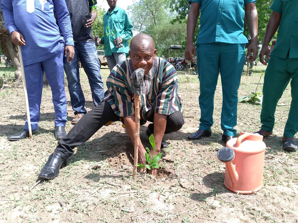 Builsa North MCE commends president's ‘Tree for Life’ initiative - Nsemkeka