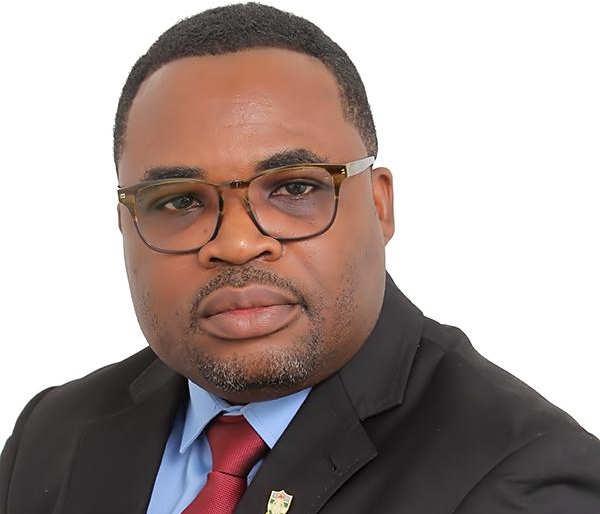 Ensuring sanity in the professional practice space – supporting our regulatory councils - Nsemkeka