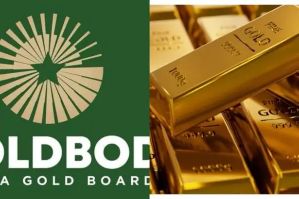 Establishment of GoldBod brought in $2.7bn in four months - Mahama - Nsemkeka