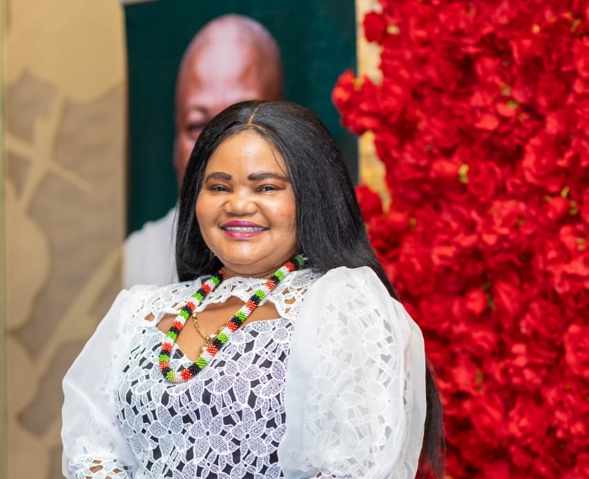 Global perception of Ghana improving under Mahama’s leadership – NDC USA Chair - Nsemkeka
