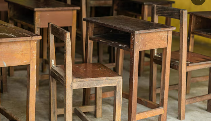 Government to ban wooden school furniture, styrofoam food packs - Nsemkeka
