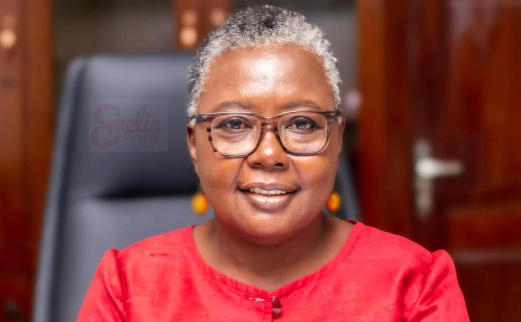 Parliament ratifies WTO agreement on fisheries subsidies, marking milestone for Ghana's sustainable ocean governance - Nsemkeka