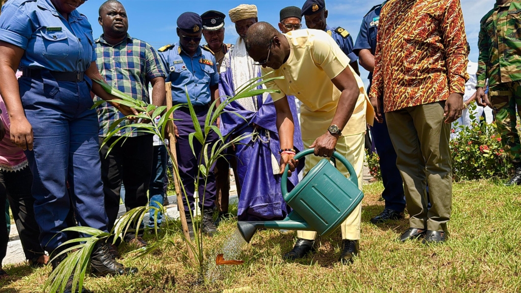 Planting for the Future: Forest clubs and tree planting drive to combat environmental damage - Nsemkeka
