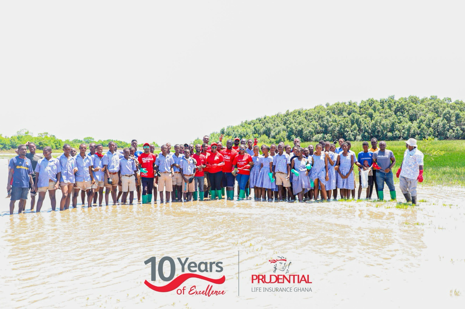 Prudential Life Insurance leads mangrove restoration efforts at Ada - Nsemkeka