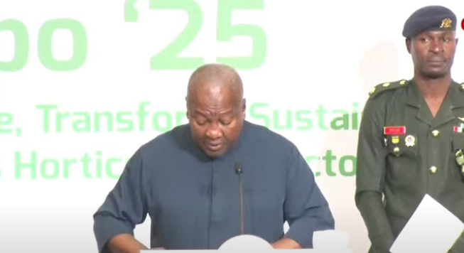 Tema and Takoradi Ports to become 24-hour hubs soon - Mahama - Nsemkeka
