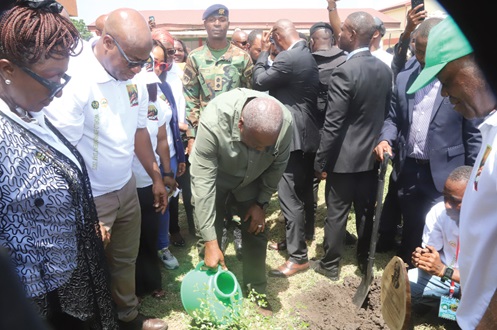 Tree for Life initiative takes off - Nsemkeka