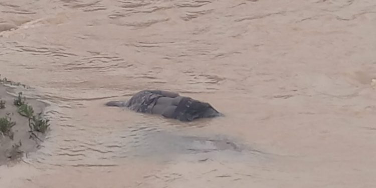 Unidentified Man Found Dead in Oforikrom Stream After Torrential Rains - GhArticles.com